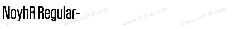 NoyhR Regular字体转换 NoyhR Regular字体转换